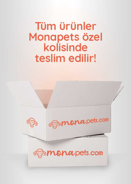 MonaPets Online Purina One Somonlu Kısırlaştırılmış Kedi